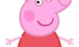动画片少儿小猪佩奇 动画片少儿小猪佩奇